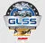 GLSS - Great Lakes Super Sprints dirt track racing organization logo