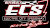 Electric City Speedway race track logo