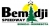 Bemidji Speedway race track logo