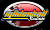 Mildenhall Stadium race track logo