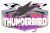 Thunderbird Raceway race track logo