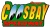 Coos Bay Speedway race track logo